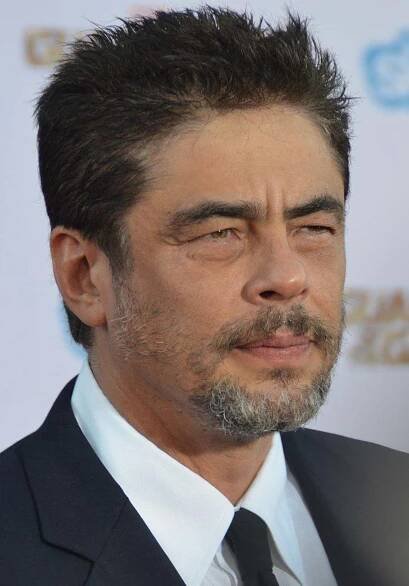 Benicio del Toro - Box Office