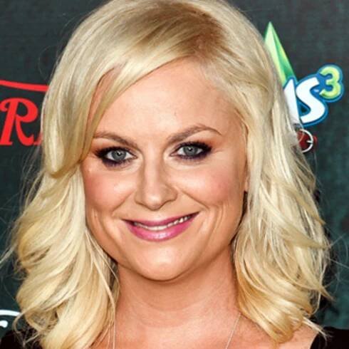 8 Celebs We Wish Would Join Twitter (Are You Listening, Amy Poehler?)