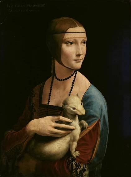 Súbor:Lady with an Ermine - Leonardo da Vinci (adjusted levels).jpg – Wikipédia