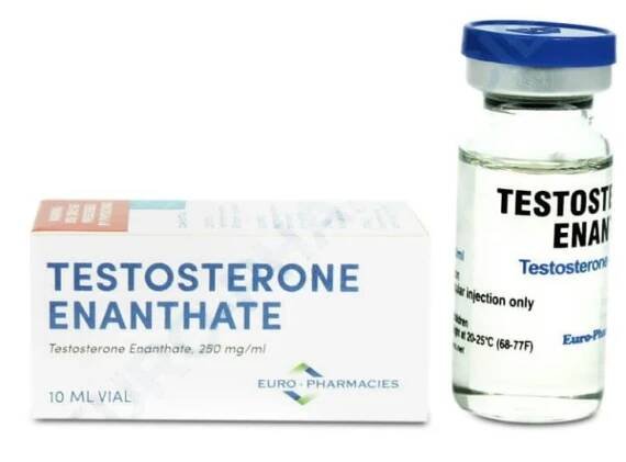 Testosteron Enanthate 250mg/ml - 10ml - Euro lékárny - USA domácí