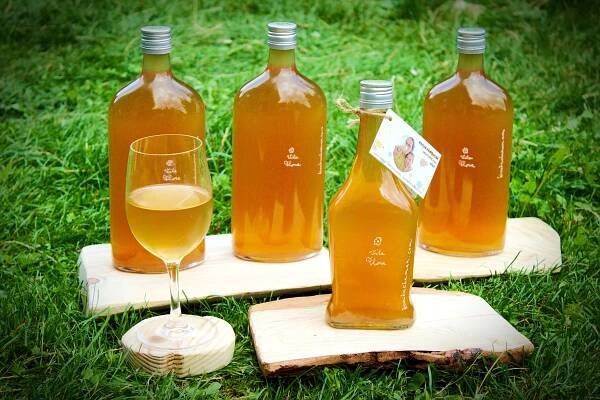 KombuChaman – Vila Flora – životní styl, raw, fermentace, kombucha, imunita