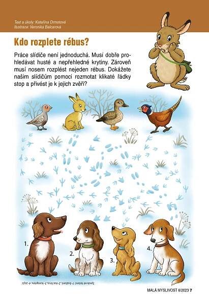 malý Adept myslivosti - ZÁBAVNÉ KVÍZY nejen pro myslivečky 
