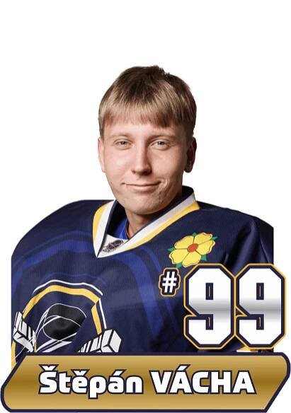 Soupiska - HC Střelci J. Hradec