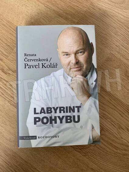 Kniha Labyrint pohybu - Trh knih - online antikvariát