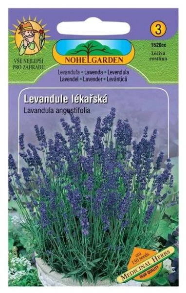 Semena Levandule lékařská - Levandula angustifolia - Citrus-shop.cz