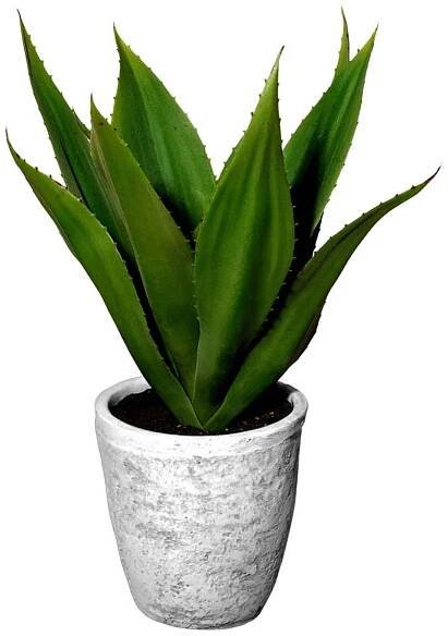 Umělá Rostlina Agave, V: 38cm | Viame.cz