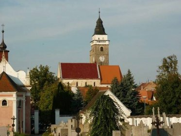 Kostel Nanebevzetí Panny Marie (Slavonice) – Wikipedie