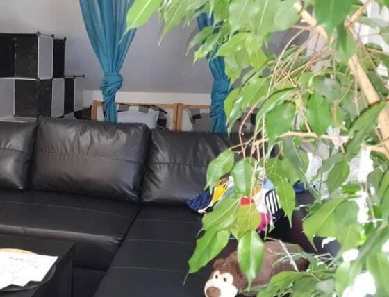 APARTMÁNY TYLOVICE