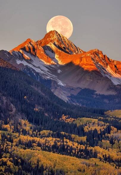 Autumn Moon