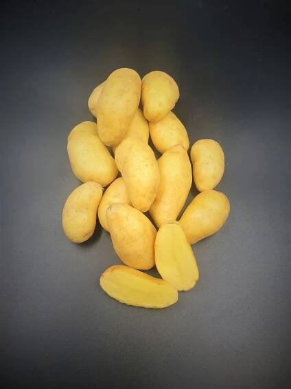 Anglia Produce Ltd