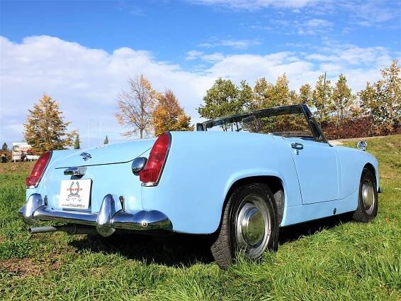 Austin Healey | Autogalerie