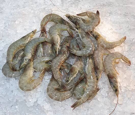 Buy Fresh Prawns in Singapore