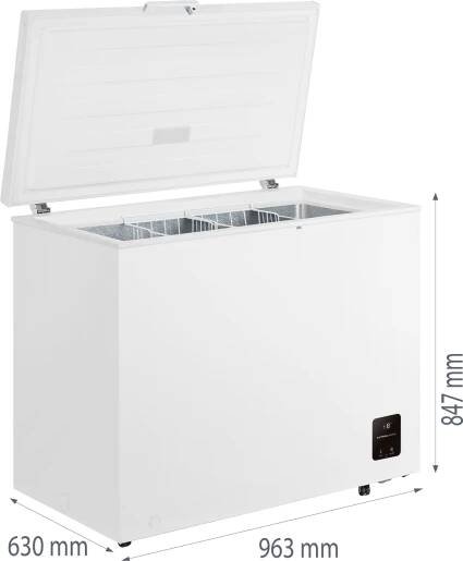 CH FREEZ ZS25082 FH25EAW GOR