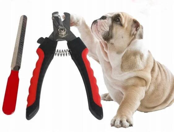 NŮŽKY NA KLEŠTĚ NA DRÁPKY PRO KOČKY PSA 16 cm