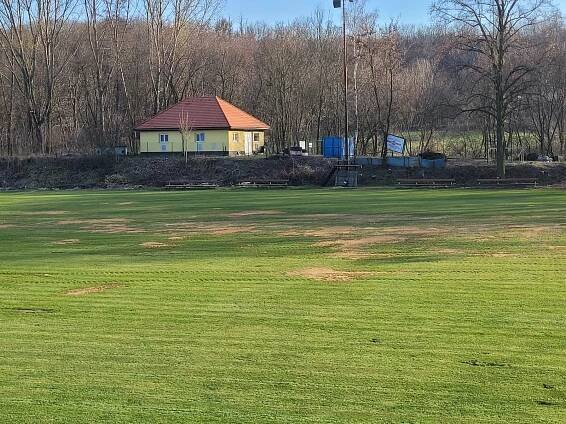Řádění prasat v Sazené: Z fotbalového hřiště je oranice, pomoci může sbírka