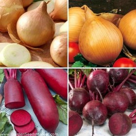 Semena červené řepy a cibule - výběr ze 4 odrůd - – Garden Seeds Market | Doprava zdarma