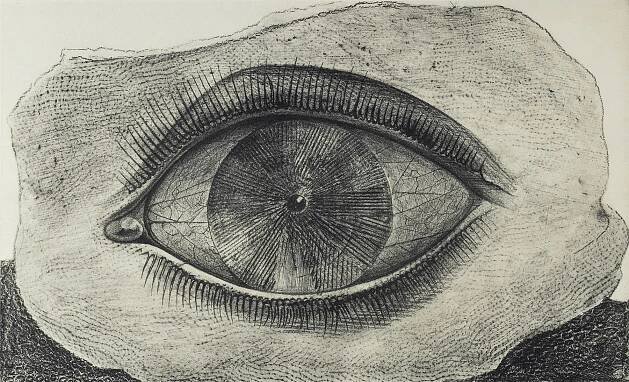 Max Ernst (German, 1891-1976) Lichtrad / la roue de la lumière / The wheel of light 1926 from the exhibition 'FOTOGAGA: Max Ernst and Photography. A Visit from the Würth Collection' at Museum für Fotografie, Oct 2024 - May 2025