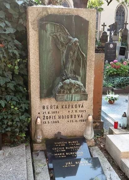 Bohumil Kafka: Anděl smrti nad mrtvou labutí