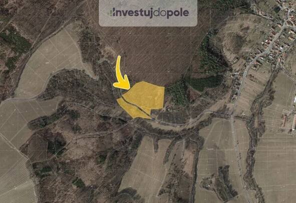 Prodej lesa 29768 m², Bojkovice - Přečkovice