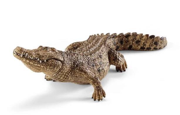 Schleich - Krokodýl 14736 | Dráčik - vítejte v internetovém obchodě s hračkami