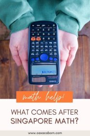 Help! What math comes after Singapore Math? Your Guide to Homeschool Algebra and Other High School Math