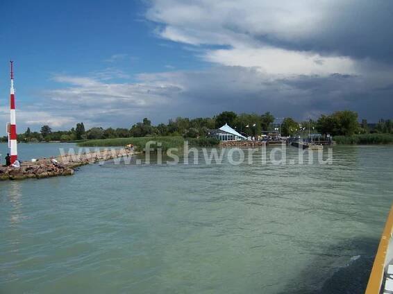 Balaton (Déli-part) | FishWorld