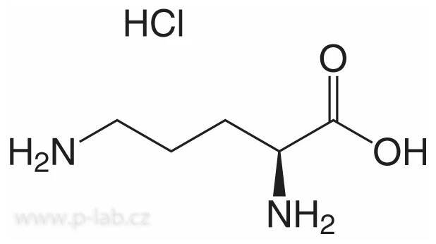 L-ORNITHIN HYDROCHLORID | P-LAB