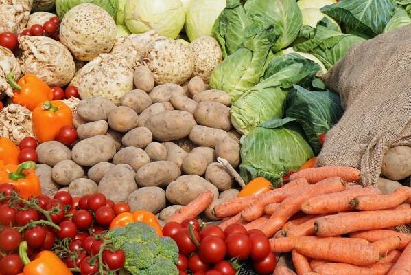 Saúdský zákaz dovozu ovoce a zeleniny z Libanonu je příležitostí i pro české exportéry