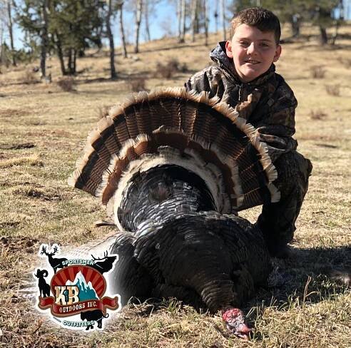 Colorado Wild Turkey Hunting | KB Outdoors, Inc.