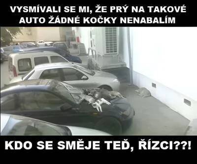 Pro pobavení | Znáte dobrý vtip? Sem s ním!