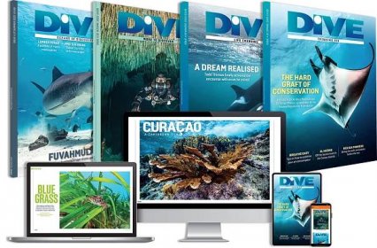 Subscribe to DIVE Magazine
