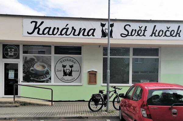 Kavárna svět koček foto 1