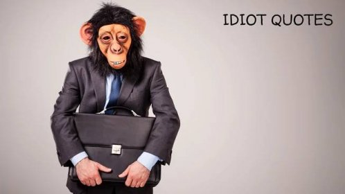 30+ Funny and Inspiring Idiot Quotes
