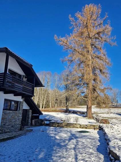 Pronájem chalupy Nové Hutě - ubytování Šumava, 339