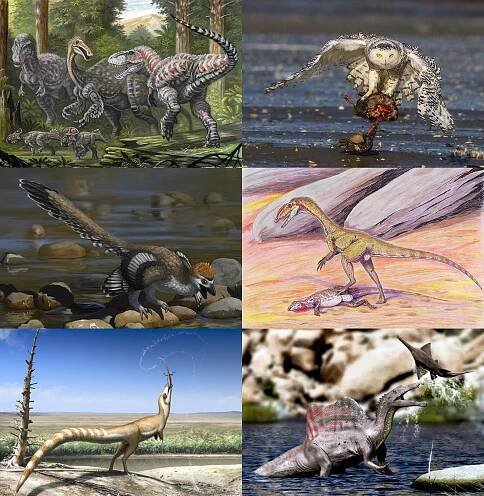 Soubor:Theropoda 2.png – Wikipedie