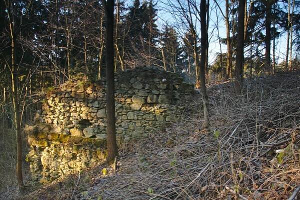 Doubravice nad Svitavou (hrad)