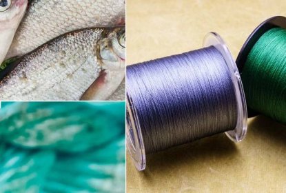 Top 12 Best Braided Fishing Lines (+ What to Know Before Buying) - Naturalcave.com