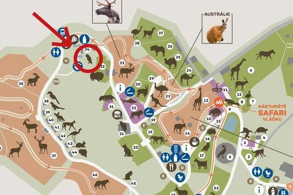 Vítání ptačího zpěvu | Zoo Olomouc - Svatý Kopeček