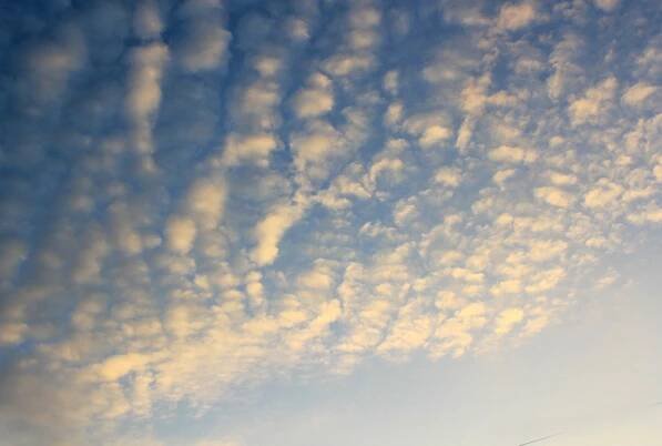 hoge schaapjeswolk