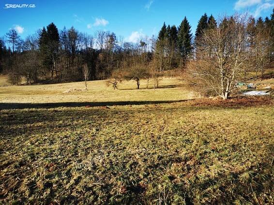 Prodej Pozemek, Levínská Olešnice, okres Semily
