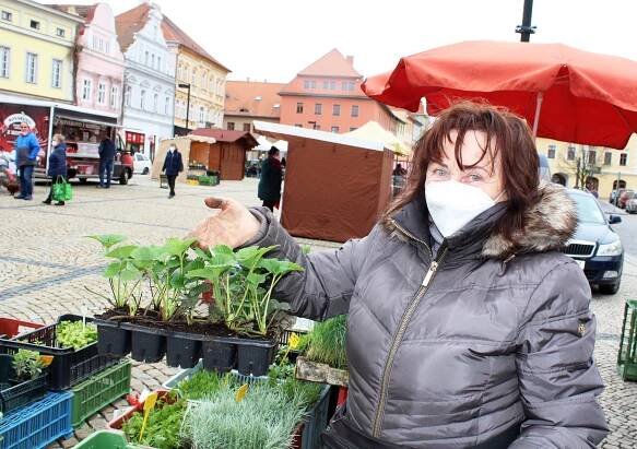 FOTO: Voňavý chléb, klobáska, na zahradu sadba. Trhy se vrátily do Žatce