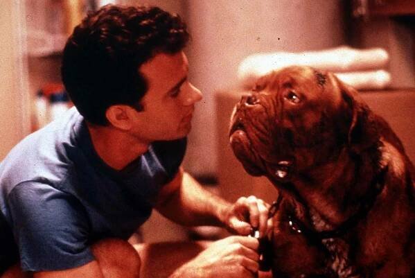Turner and Hooch