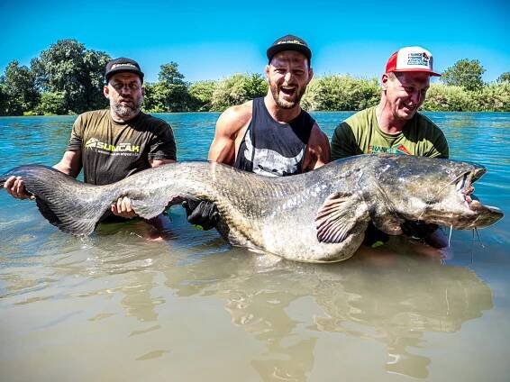 Judista Lukáš Krpálek ve Francii chytil sumce přes 90 kilo váhy, je to jeho „osobák“ | InRybar.cz