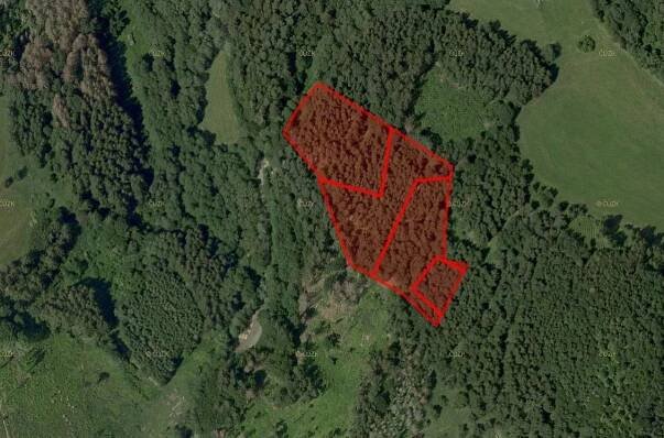 Prodej Pozemek, Chlum-Korouhvice - Korouhvice, okres Žďár nad Sázavou