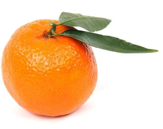 The Clementine - proud member of the mandarine orange family