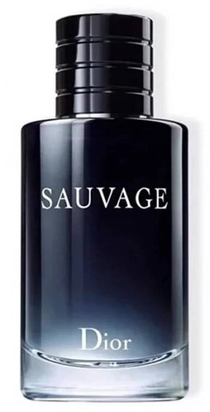 Dior Sauvage Eau de Toilette toaletní voda 100 ml - FAnn parfumerie