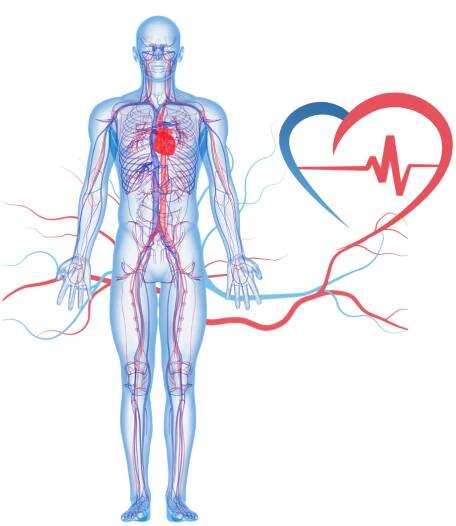 Cévní ambulance Nový Jičín - Diagnostika a léčba cévních onemocnění