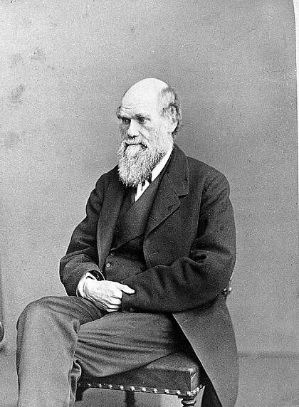 Category:Portraits of Charles Darwin - Wikimedia Commons
