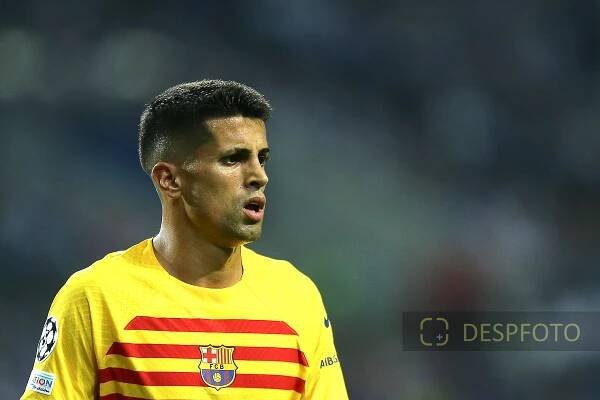 FC Porto vs FC Barcelona – UEFA Champions League 2023/24 – Matchday2 – Despfoto
