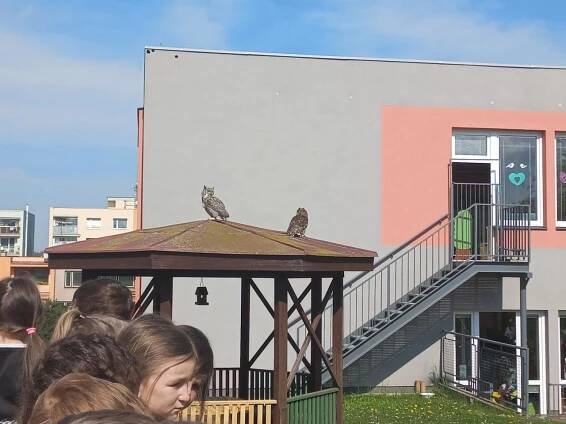 DRAVCI NA ZAHRADĚ MŠ - Medvidkové a Veverky - Oficiální stránky MŠ Skuteč Osady Ležáků
